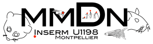 UMR_S710