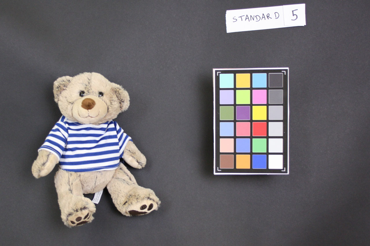 nounours taille humaine