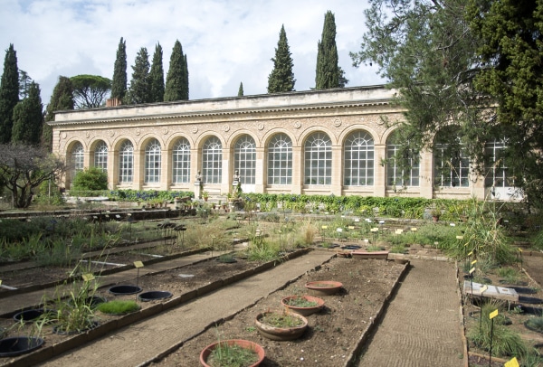 Jardin des Plantes 