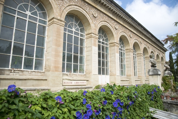 Jardin des Plantes  Montpellier Tourisme