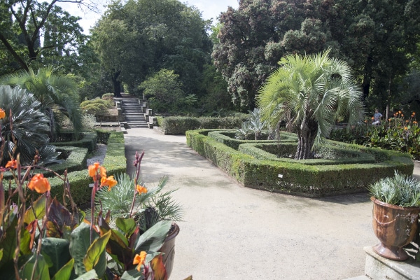 Jardin des Plantes  Montpellier Tourisme