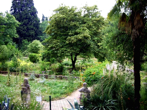 Jardin des Plantes  Montpellier Tourisme