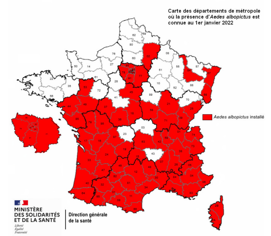 Carte de la répartition du moustique tigre en France métropolitaine et en Corse, en janvier 2022